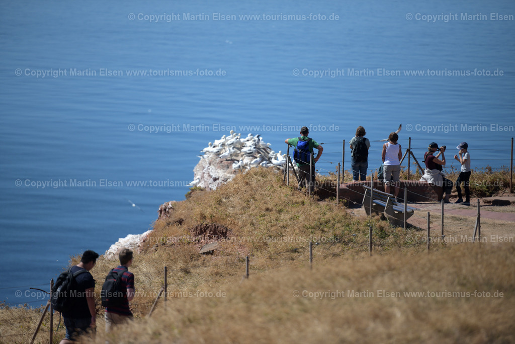 Helgoland_ELS_8095030818 | Helgoland - Aufnahmedatum: 03.08.2018, Aufnahmehöhe:  m, Koordinaten:  - , Bildgröße: 8256 x  5504 Pixel - Copyright 2018 by Martin Elsen, Kontakt: Tel.: +49 157 74581206, E-Mail: info@schoenes-foto.deSchlagwörter:Schleswig-Holstein,Landkreis Pinneberg,Düne,Hochseeinsel,Börteboote,Meer,Küste,Halunder,Oberland,Unterland,Strand,Seehunde,Robben,Lange Anna,Felsen,Roter Felsen,Luftbild,Luftbilder,Bastölpel - Realisiert mit Pictrs.com