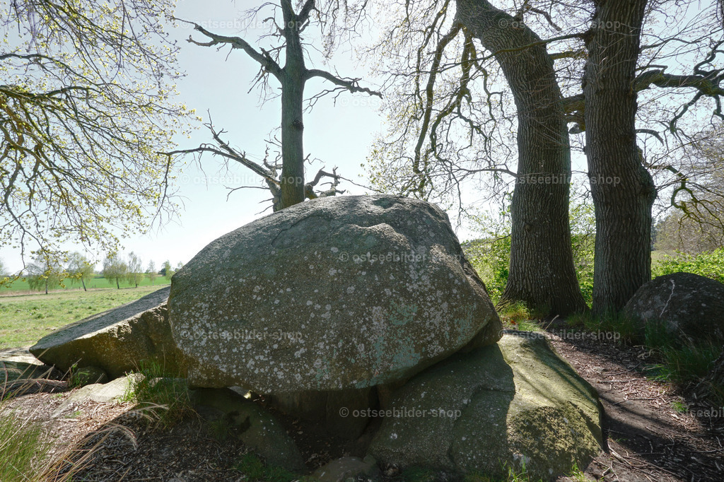 Hünengrab auf Rügen | Das Bild zeigt ein Großsteingrab bei Lancken-Granitz im grellen Gegenlicht der Frühjahrssonne.