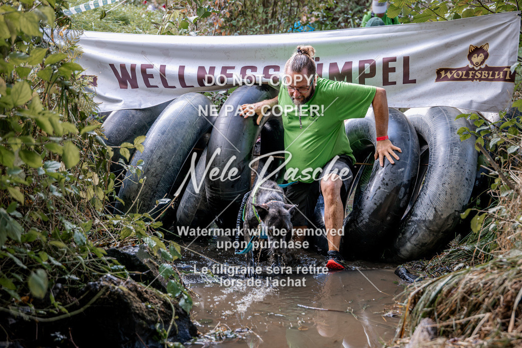 nelerasche_Hunsrück2026_Sa1400-1500_69 | nelerasche