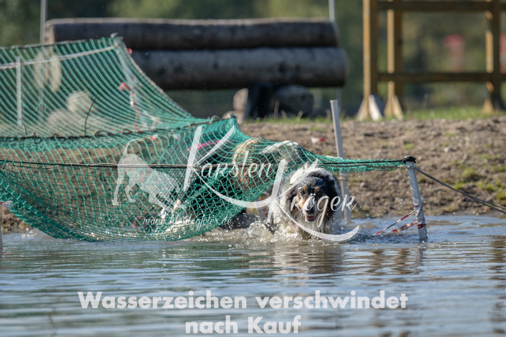 1334_ZZ90930 | kk-dogfotos