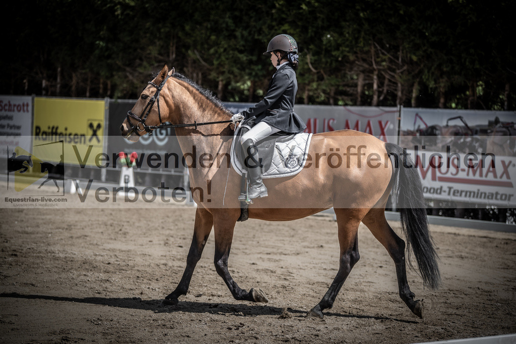 DSC_0800 | equestrian-live-com