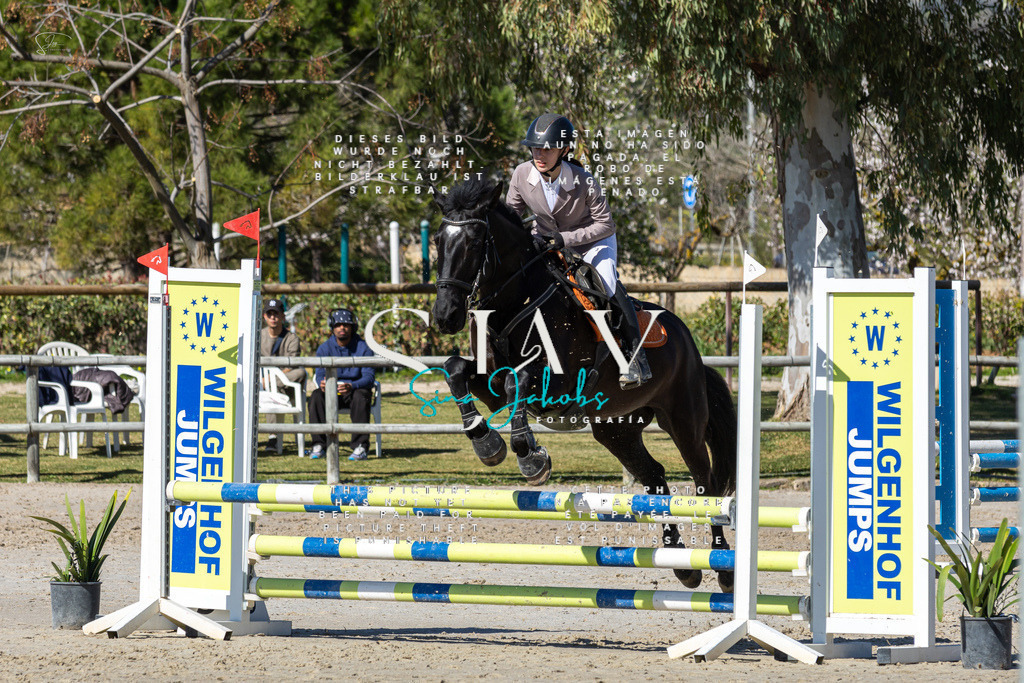 IMG_9031 | s-jay-photography - Realisiert mit Pictrs.com