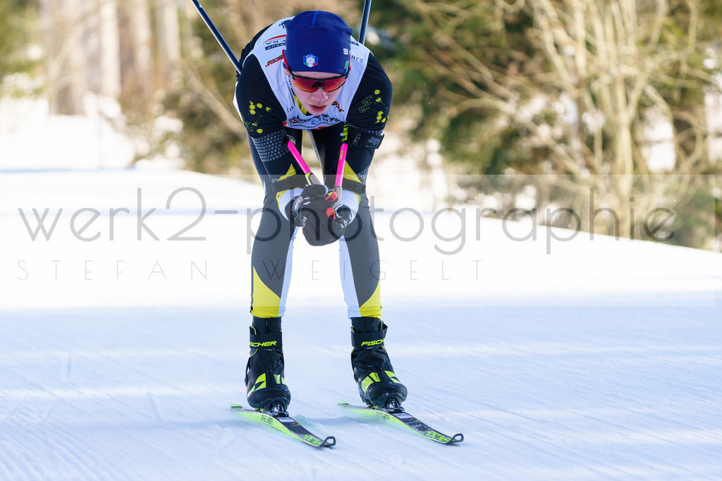 DSC Arber | Bayerischer Wald am 9. bis 12. Februar 2023
