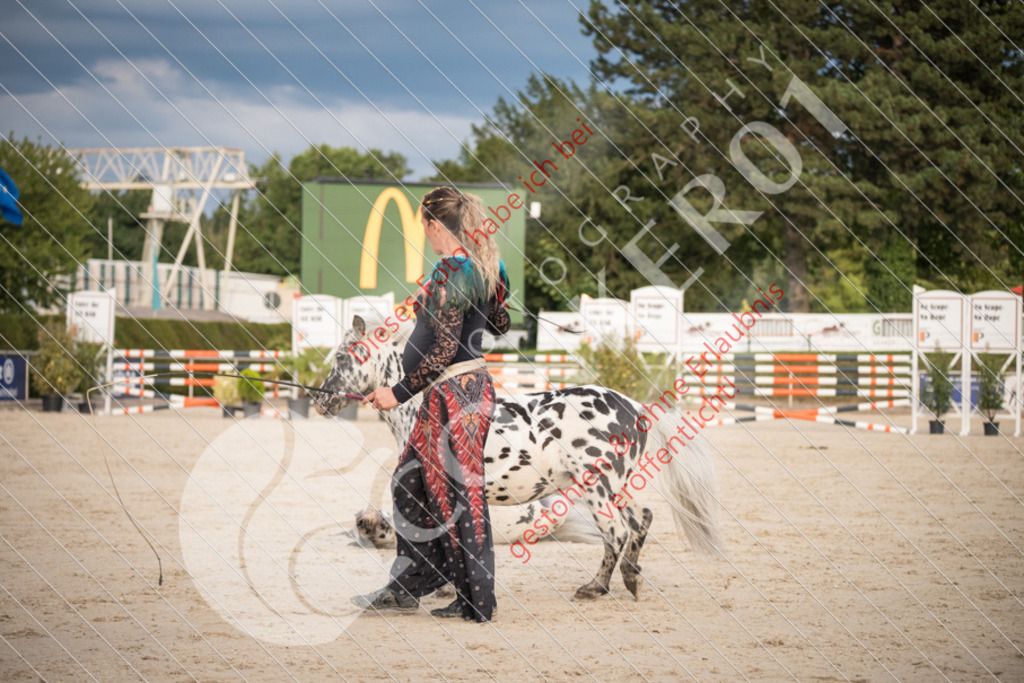 DSC_0005 | Sport-, Event- und Tierfotos in Profiqualität. Einfach auswählen, bestellen und herunterladen. Dein Moment – perfekt festgehalten.