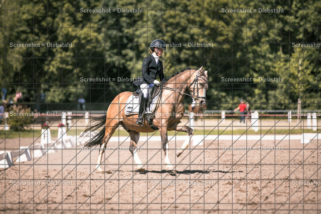 _W6A2649 | ronjaprokoschfotografie - Realisiert mit Pictrs.com