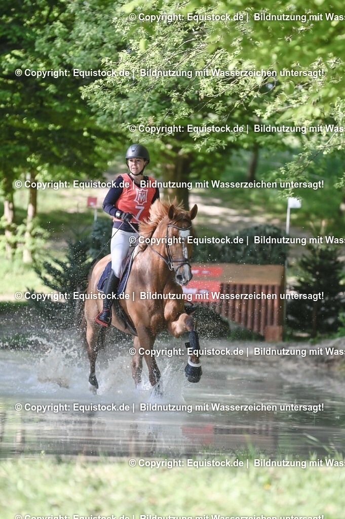 20250517_CCI2_Gelände_0321 | Foto: Thomas Hartig