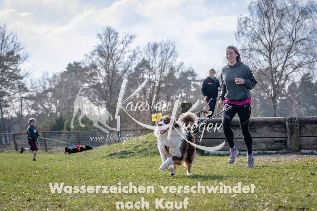 _ZZ90997 | kk-dogfotos