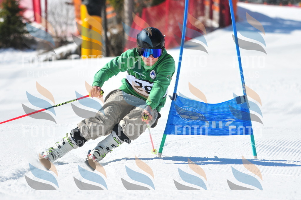 C3509 | holidayphoto