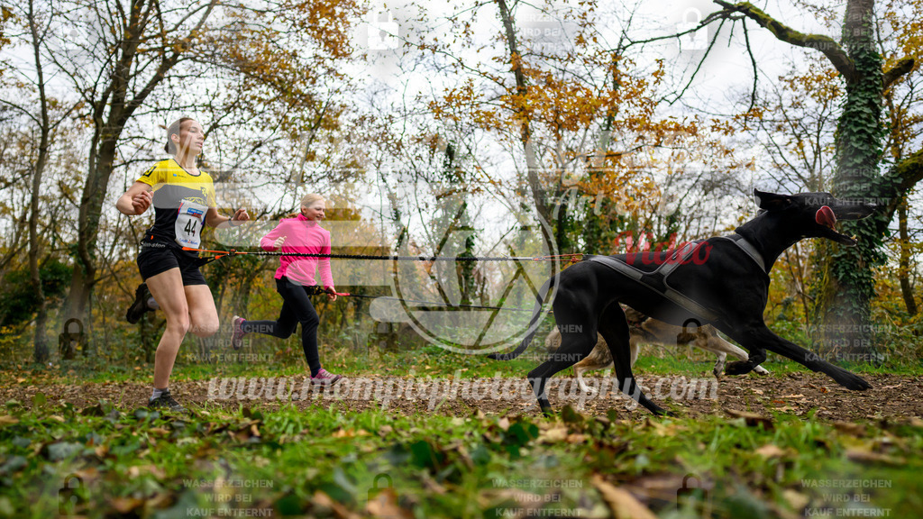 MompixPhotography_Bischwiller24_DI_CoursedeRelais-53 | PayLife