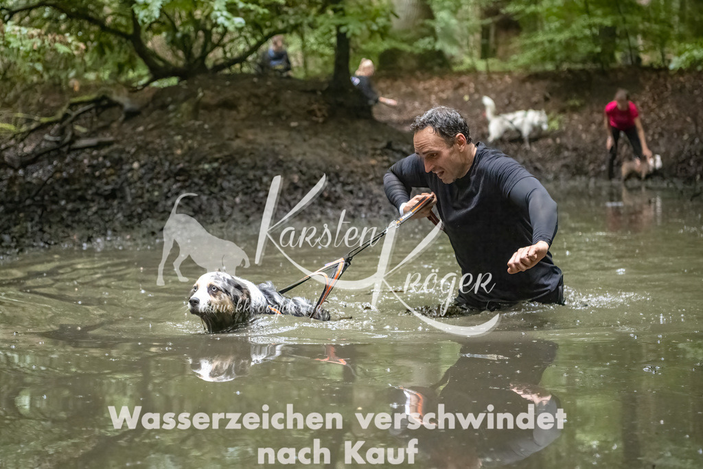 1150_ZZ92291-Bearbeitet-2 | kk-dogfotos