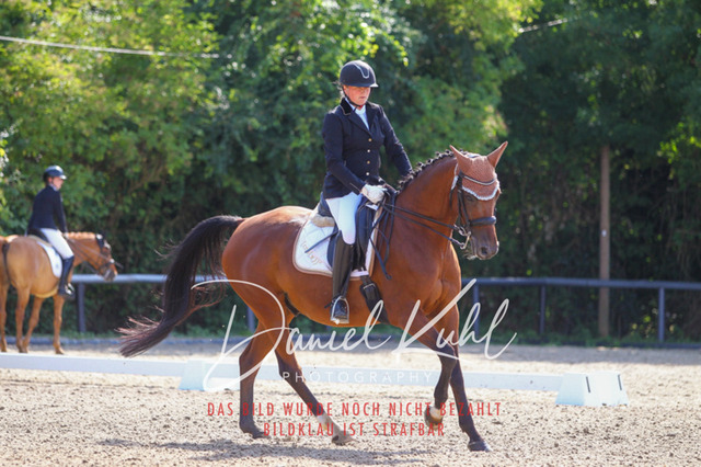 DKP41207 | Turniersportfotografie; Pferdefotografie; Dressurfotografie