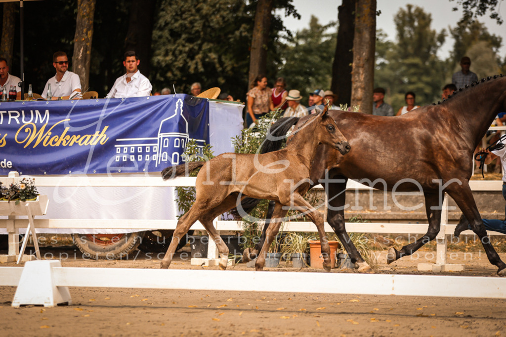 SaPA00051 | Leoni Ertmer Photography - Realisiert mit Pictrs.com