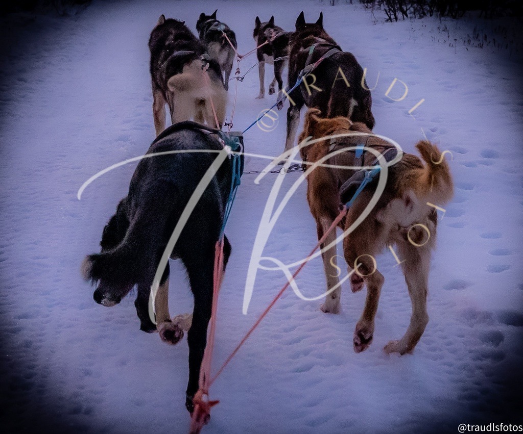 71EBE090-5821-4159-98DD-2C77226323F8 | traudl_s_fotos