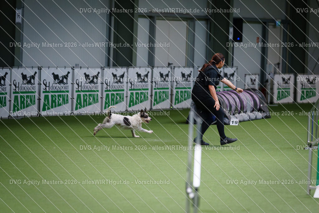 allesWIRTHgut_Tierfotografie-DVG_Agility_Masters_2026-09_35-7R509462 | Professionelle Tierfotografie in Mönchengladbach von Daniel Wirth (allesWIRTHgut). Liebevolle & natürliche Bilder von Hunden & Katzen für unvergessliche Erinnerungen.