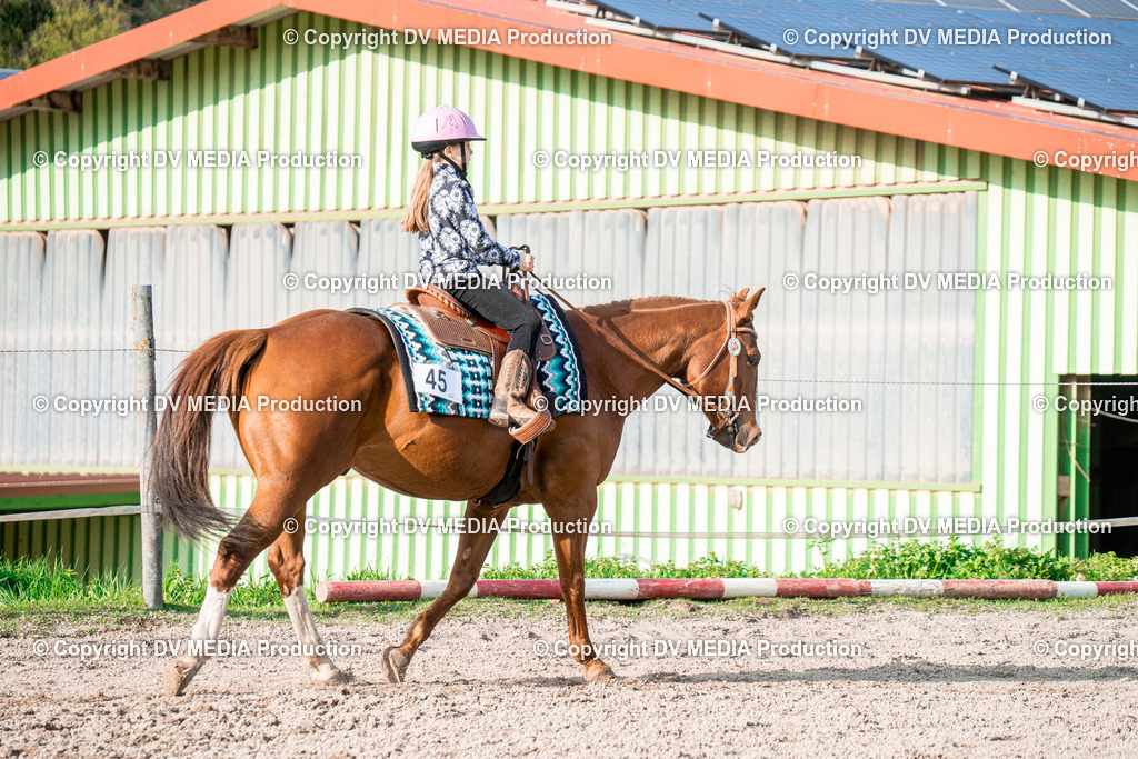 BAL02897 | dv-media-shop - Realisiert mit Pictrs.com