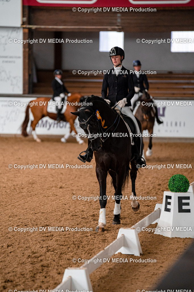 Kranichstein Tag 1-739 | dv-media-shop - Realisiert mit Pictrs.com