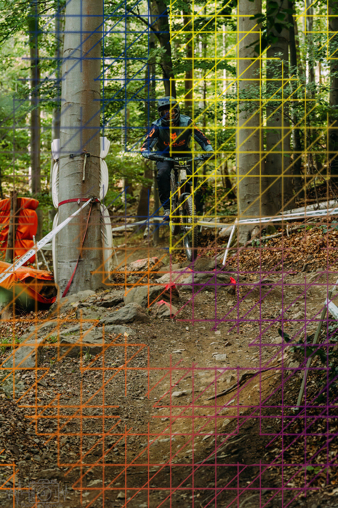 PAE-2360 | Einzigartige Fotokunst für dein Zuhause: Entdecke hochwertige Wandbilder, edle Prints und emotionale Motive von Wildlife, Natur und Landschaften - Realisiert mit Pictrs.com