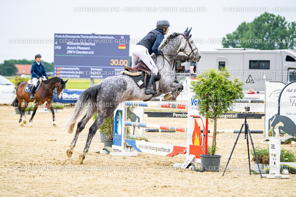 DSC06655 | Pferdegrafie