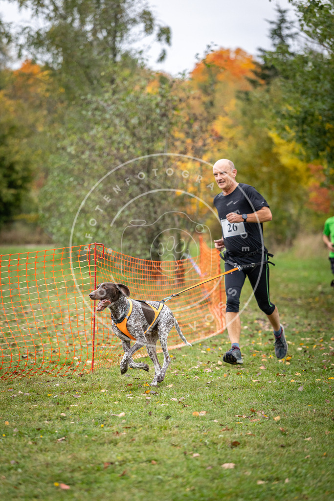 Pfotenfotografie_DV3A2008 | Hundefotografie, Tierfotograf, Pfotenfotografie, Fotoshooting Hund, Hunde Portrait, Hundesport, Hundeportraits, Heideshooting, Hunde, Sportfotograf, Hundefotograf, Turnierhundsport, THS,  - Realisiert mit Pictrs.com