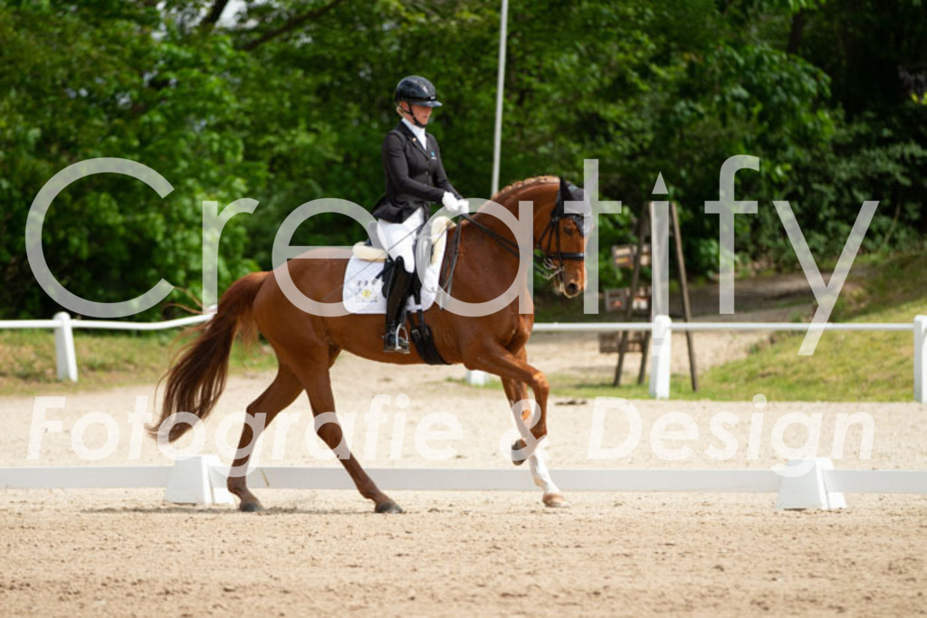 IMG_6820 | Creatify Fotografie