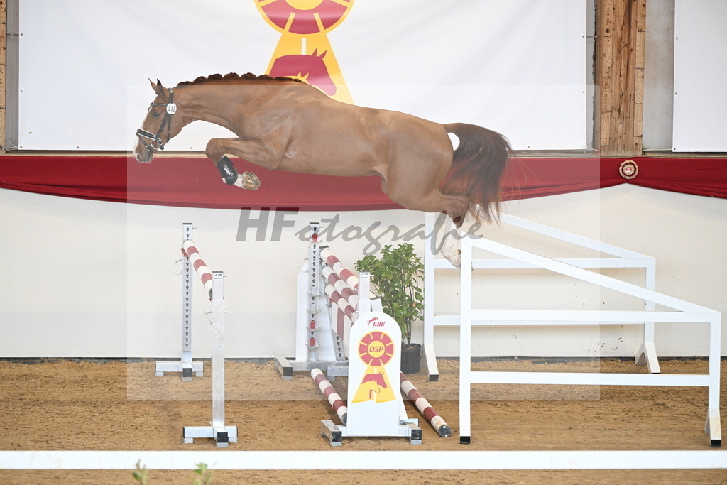 Kat.-Nr. 2 v. Baloutender_Kohn_2250956 | hf-fotografie - Realisiert mit Pictrs.com