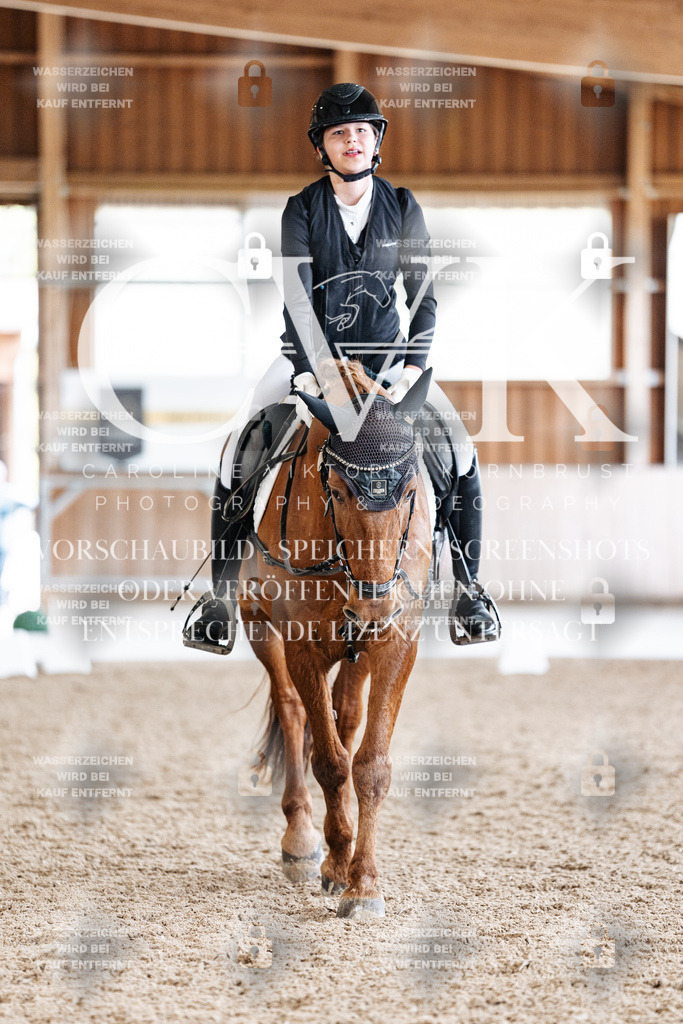 CK909814 | Turnierfotografie Pferdefotografie Trier Rheinland-Pfalz Pferdesport Reitsport Tierfotografie Sportfotografie Pferdevideo Pferdevideografie Equestrianvideography equestrianphotography  - Realisiert mit Pictrs.com