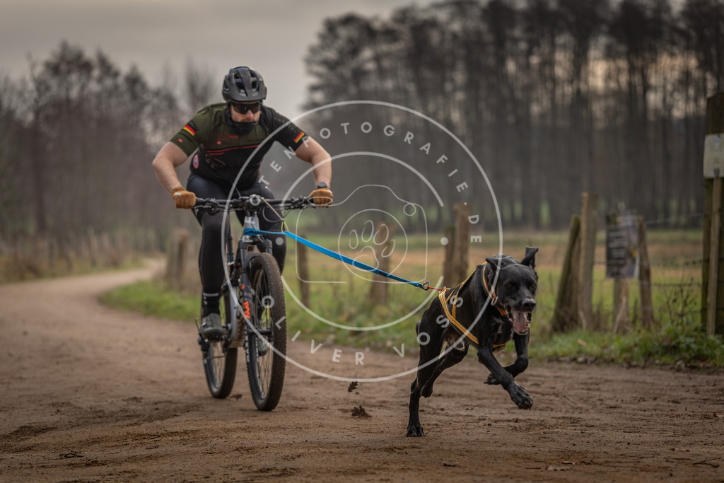 Pfotenfotografie_DV3A1703 | Hundefotografie, Tierfotograf, Pfotenfotografie, Fotoshooting Hund, Hunde Portrait, Hundesport, Hundeportraits, Heideshooting, Hunde, Sportfotograf, Hundefotograf, Turnierhundsport, THS,  - Realisiert mit Pictrs.com