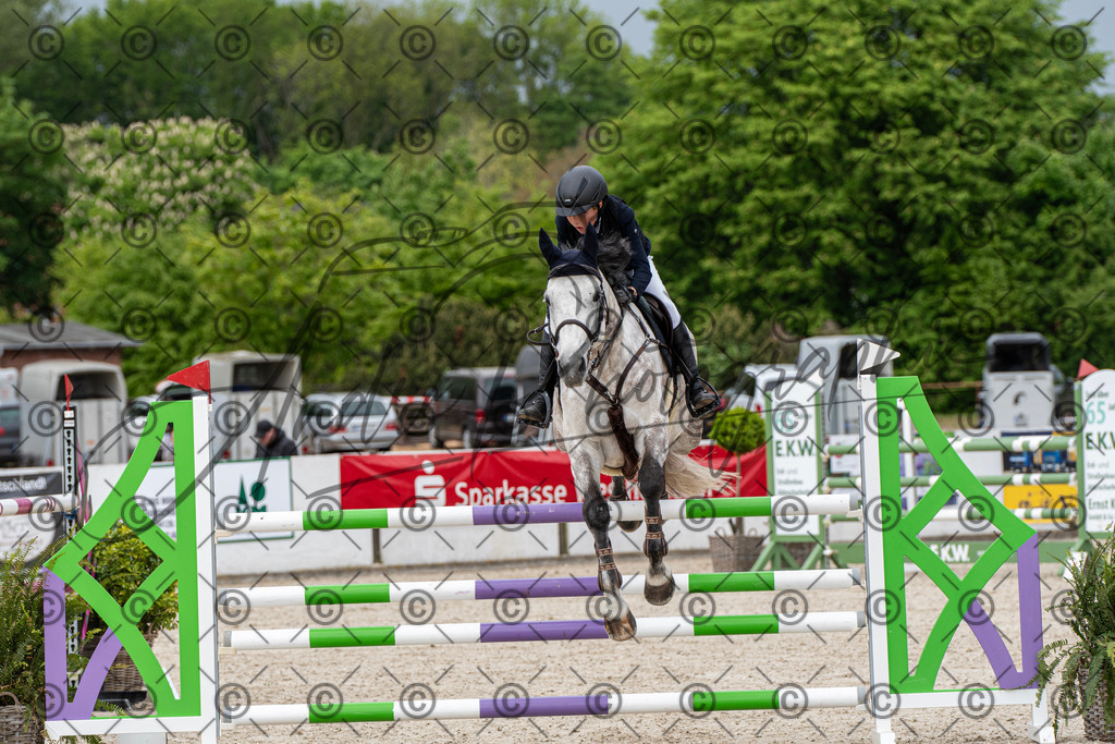 KPT_9764 | andre_photographic