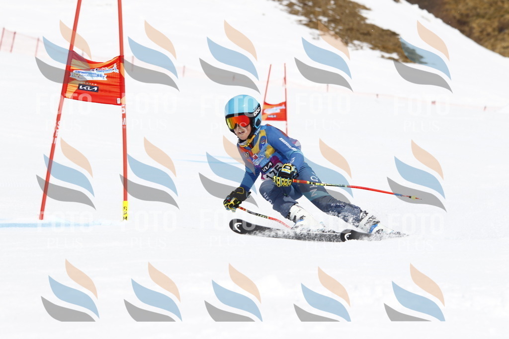 _U3G4615 | holidayphoto