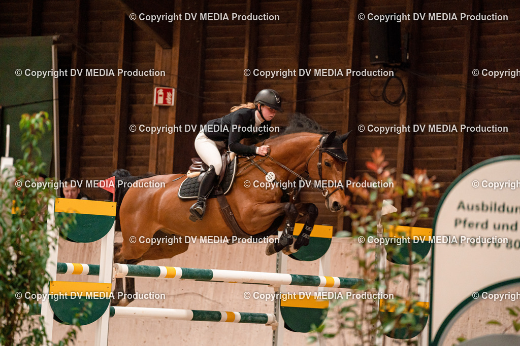 Springen Tag 3-305 | dv-media-shop - Realisiert mit Pictrs.com