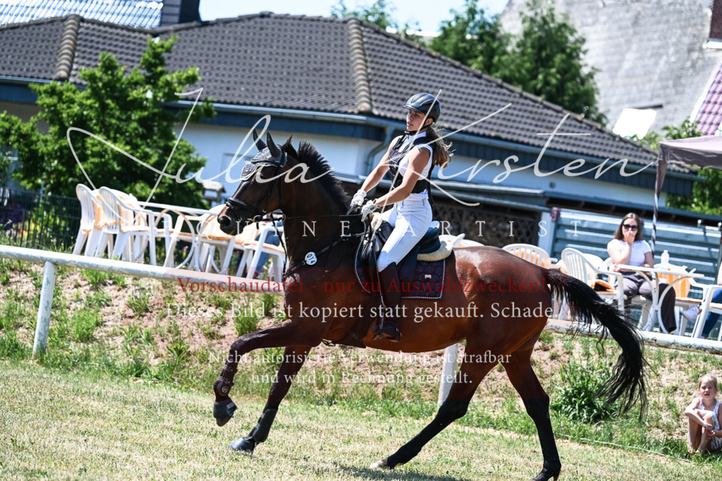 DSC_0222 | Pferde- und Turnierfotografie in Westsachsen. Pferdeportraits, Auftragszeichnungen und intuitive Kunst.