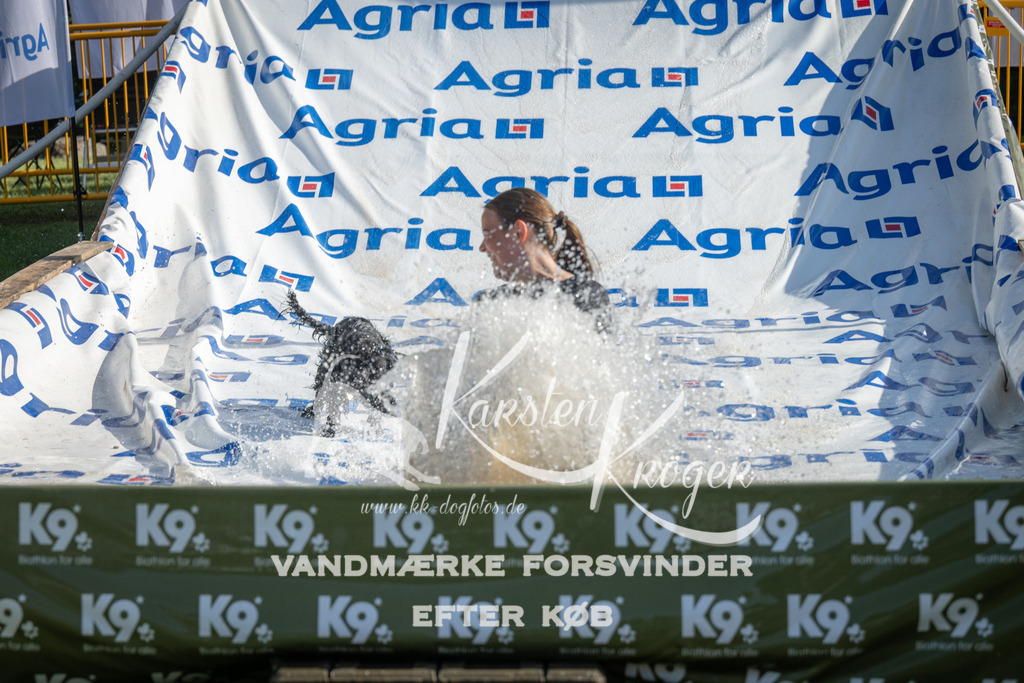 0950_ZZ97219 | kk-dogfotos