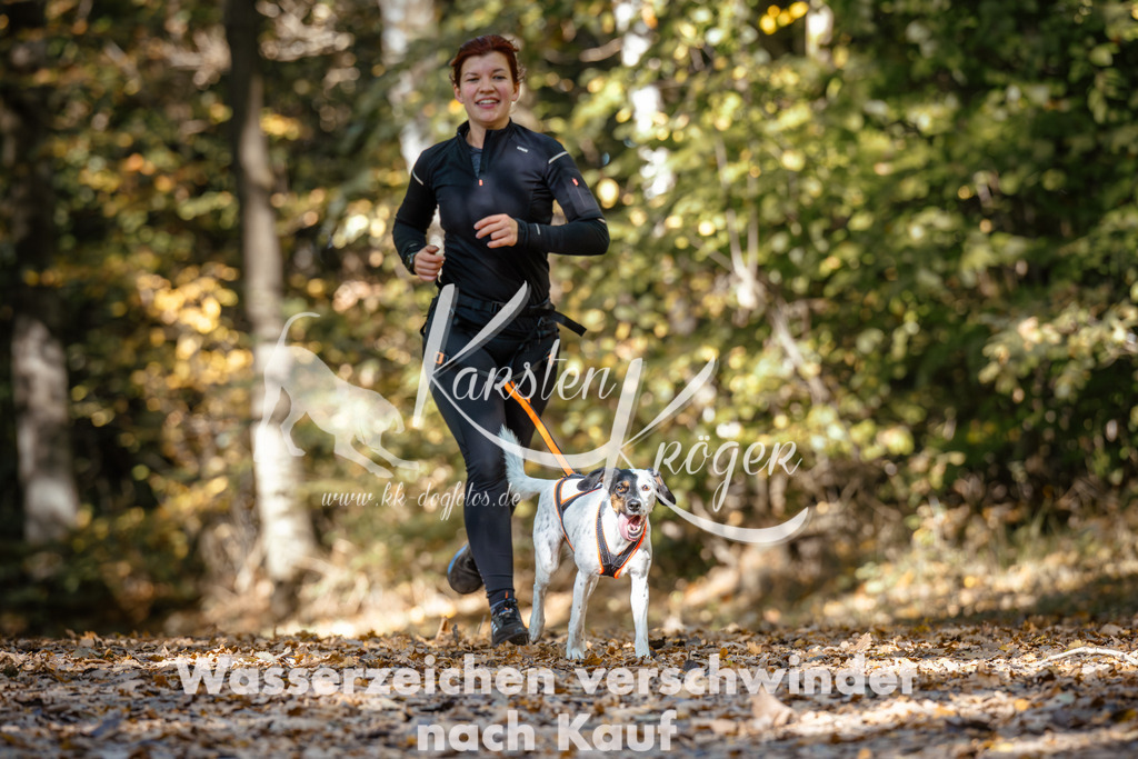 1225_ZZ95070 | kk-dogfotos