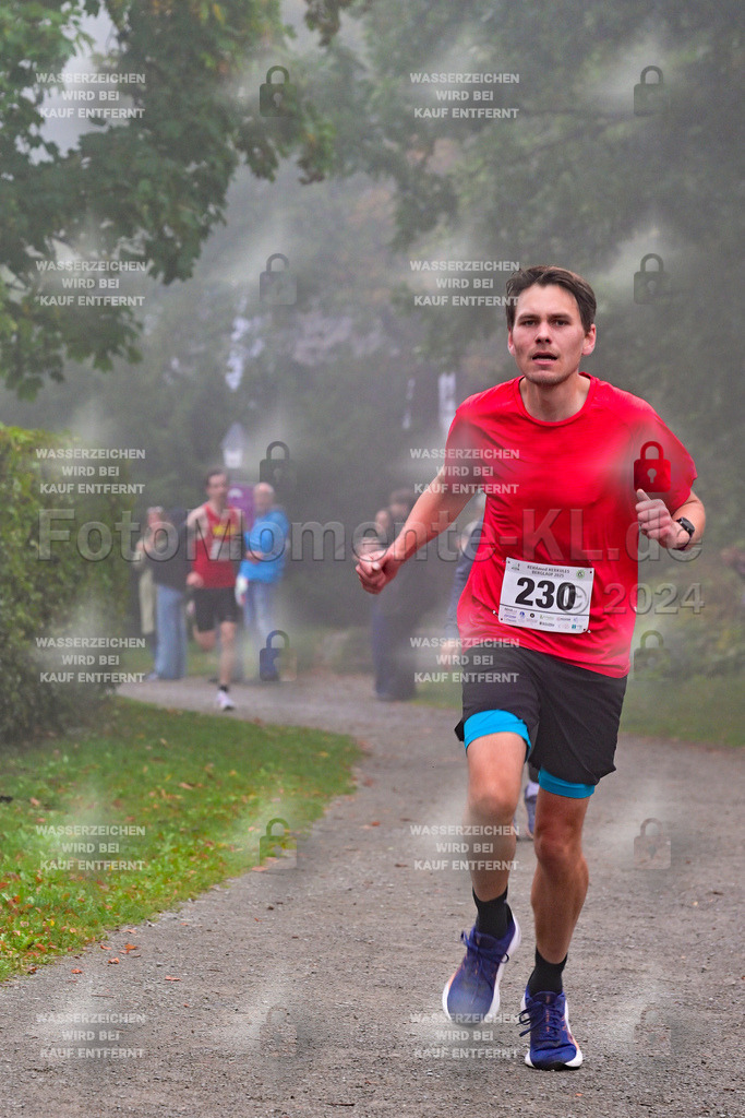 Z8N_1213 | la-psv - Realisiert mit Pictrs.com