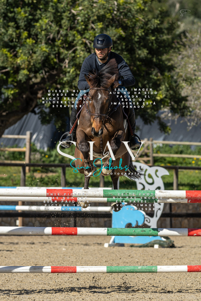 IMG_6937 | s-jay-photography - Realisiert mit Pictrs.com