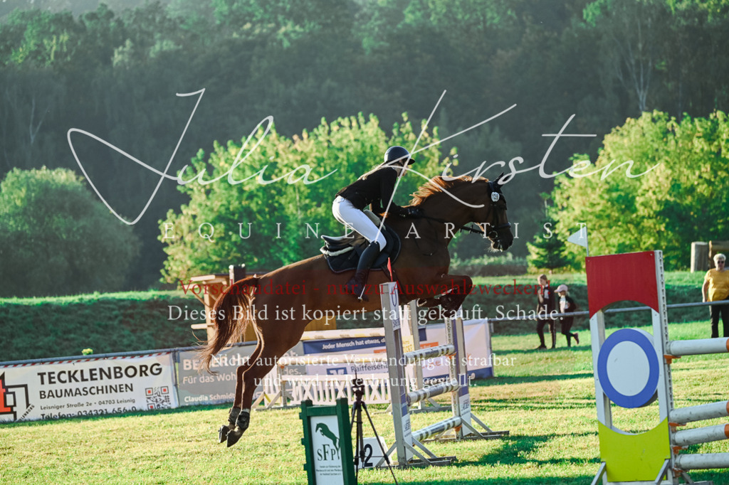 DSC_3927 | Pferde- und Turnierfotografie in Westsachsen. Pferdeportraits, Auftragszeichnungen und intuitive Kunst.