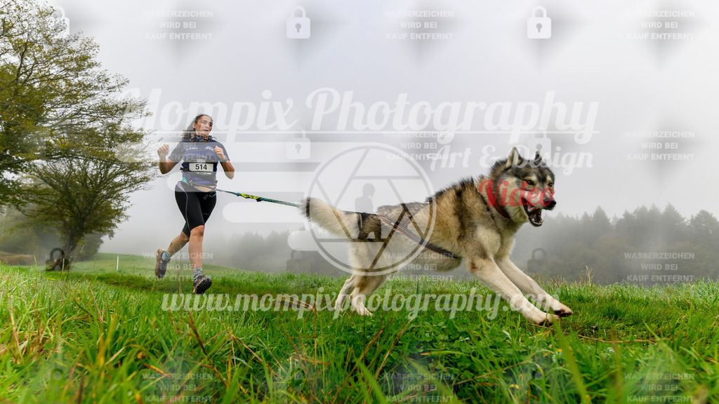 MompixPhotography_20TSB_E5_Run-42 | PayLife