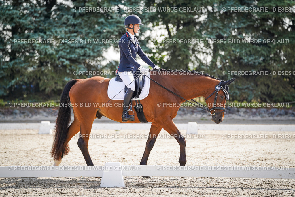 DSC06375 | Pferdegrafie