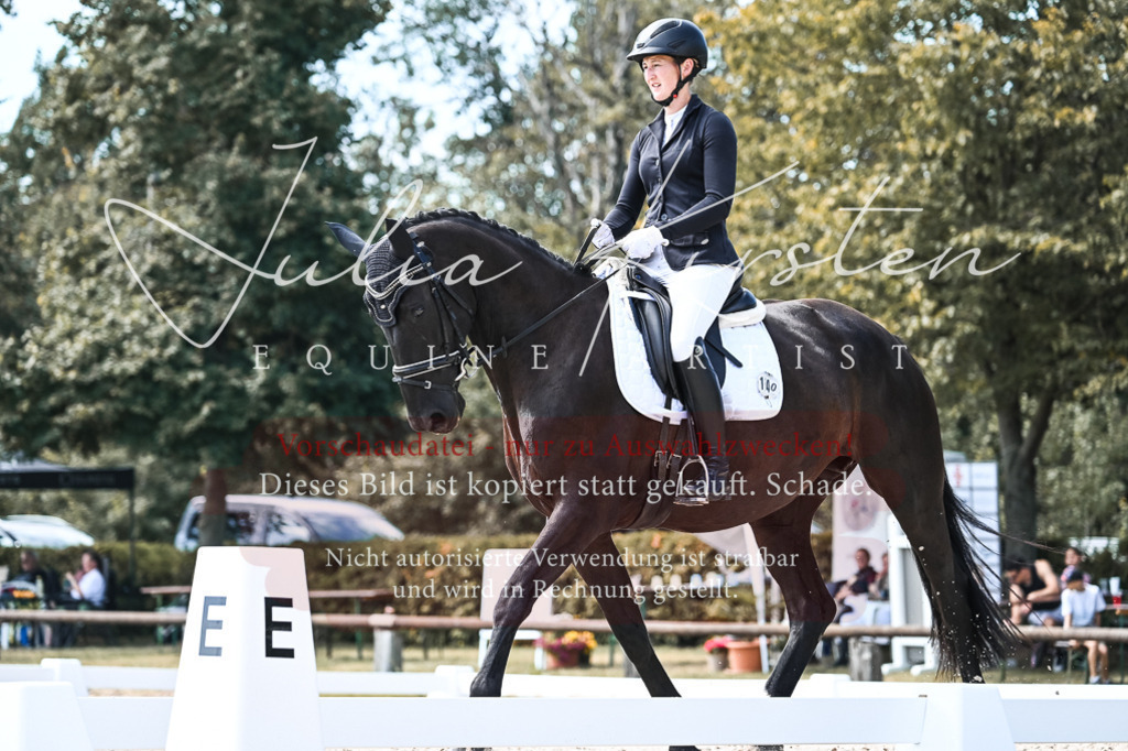 DSC_5335 | Pferde- und Turnierfotografie in Westsachsen. Pferdeportraits, Auftragszeichnungen und intuitive Kunst.
