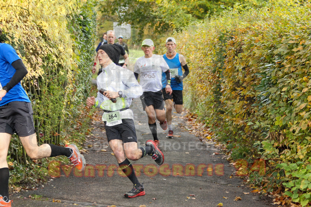 251026_1003_EV4_3888 | Sportfotografie im Rhein-Sieg Kreis, Köln, Bonn, NRW, Rheinland Pfalz, Hessen, etc. Unser Tätigkeitsfeld umfasst den Laufsport vom Volkslauf über den Marathon, Duathlon, Triathon bis zum Ultralauf wie Kölnpfad Ultra oder Schindertrail.