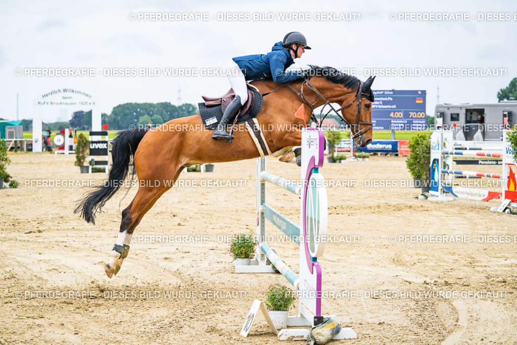 DSC09411 | Pferdegrafie