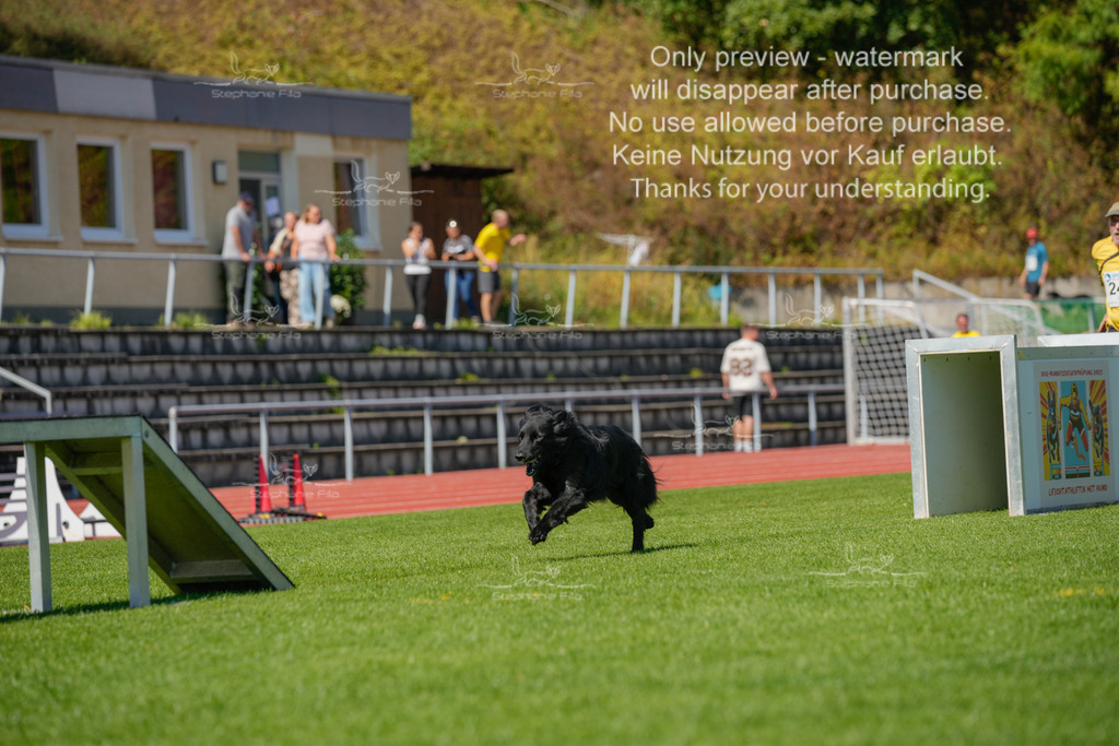 Sonntag_VK Hindernis (325 von 671) | stephaniefillaphotographie - Realisiert mit Pictrs.com