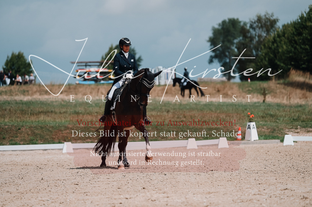 DSC_3860 | Pferde- und Turnierfotografie in Westsachsen. Pferdeportraits, Auftragszeichnungen und intuitive Kunst.