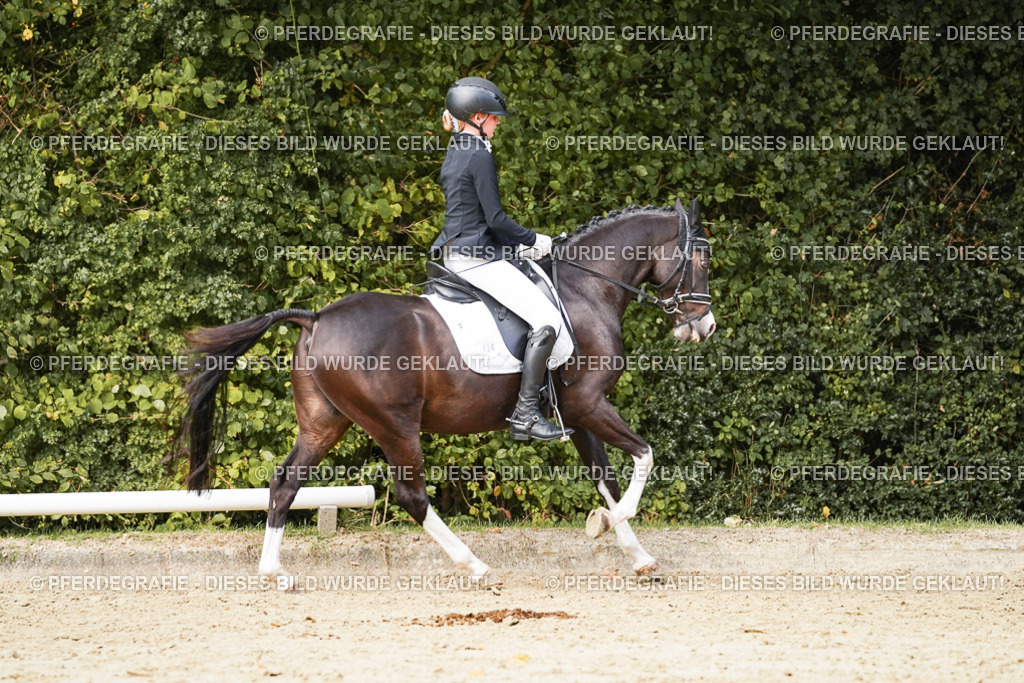 DSC03867 | Pferdegrafie