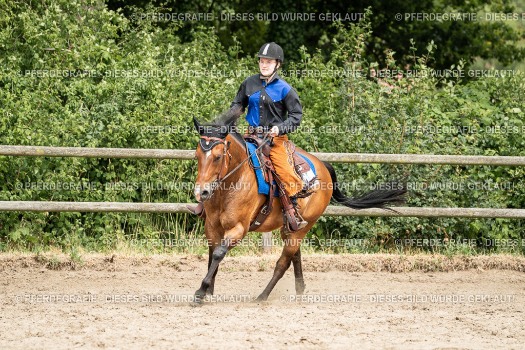 DSC01659 | Pferdegrafie