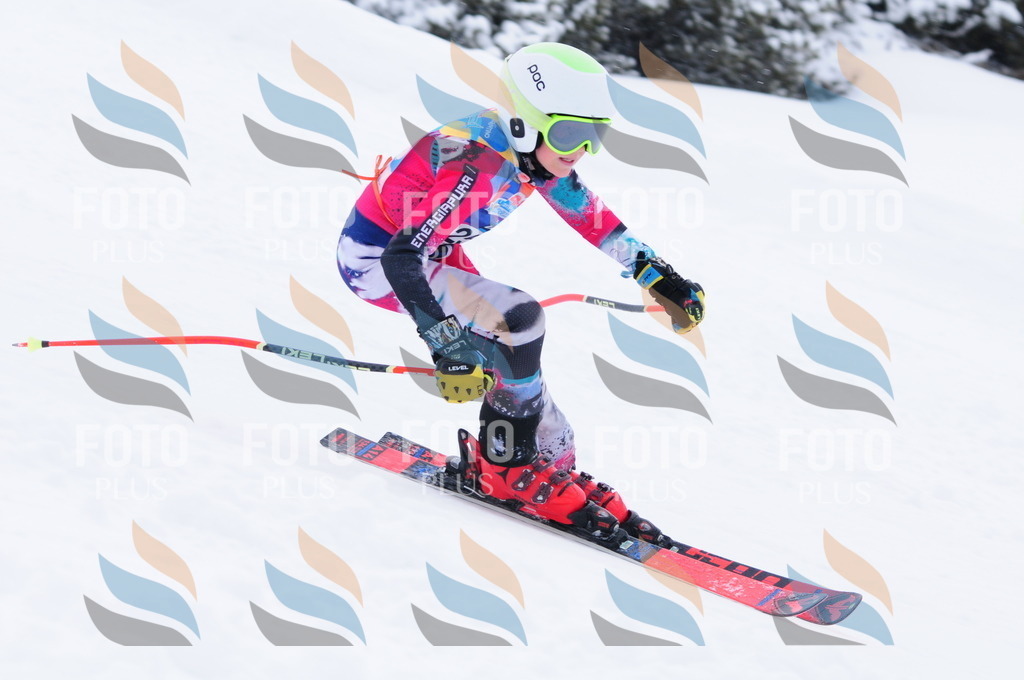 C2657 | holidayphoto