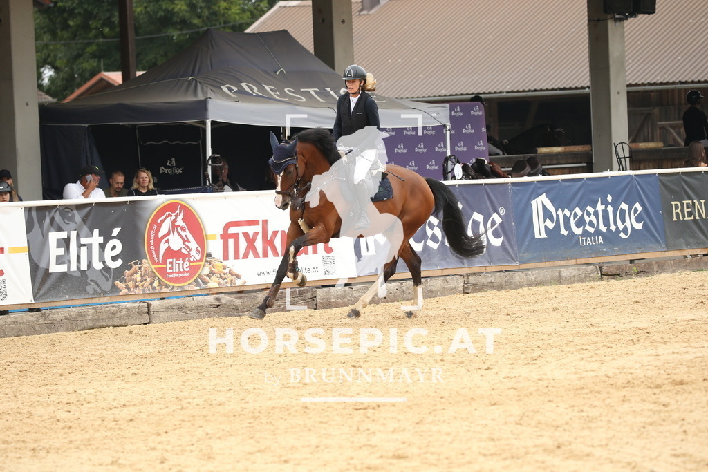 DL2Q7270 | Willkommen bei Brunnmayr - Design & Fotografie – Ihrem Spezialisten für Reitturniere und Pferdeveranstaltungen in Oberösterreich, Salzburg und Bayern! Seit über 17 Jahren sind wir leidenschaftlich dabei.