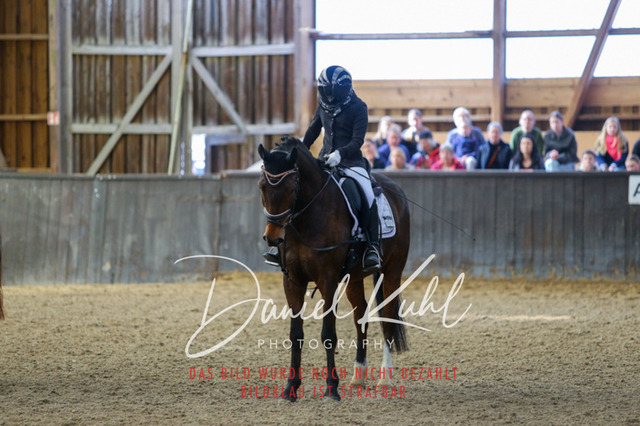 IMG_1011 | Turniersportfotografie; Pferdefotografie; Dressurfotografie