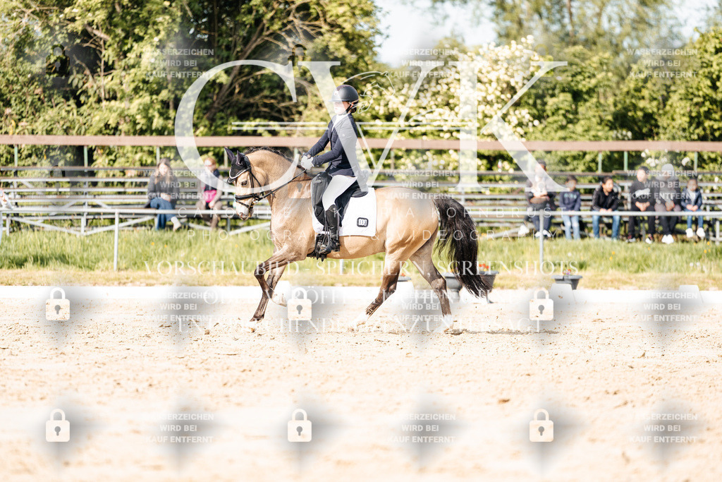 CK900455 | Turnierfotografie Pferdefotografie Trier Rheinland-Pfalz Pferdesport Reitsport Tierfotografie Sportfotografie Pferdevideo Pferdevideografie Equestrianvideography equestrianphotography  - Realisiert mit Pictrs.com