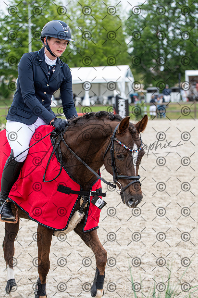 KPT_8141 | andre_photographic